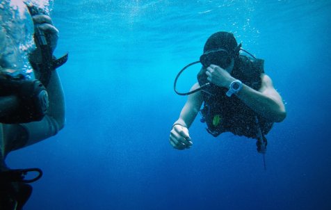 Diving Experience - Full day - Half day tours