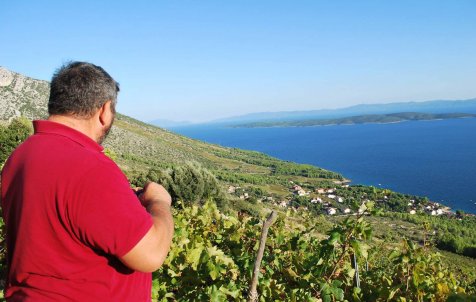 Island Hvar & wine tasting - Exclusive private speedboat tour