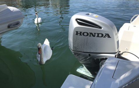 N.P. Krka Waterfalls, Šibenik & Primošten - Exclusive private speedboat tour